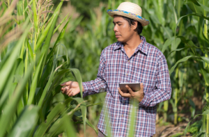 Inovasi Bisnis dengan Teknologi