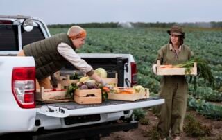 bisnis di pegunungan