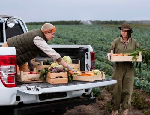 Anda Tinggal di Pegunungan? Berikut Bisnis yang Cocok untuk Anda! Kelola Keuangannya dengan Accurate Online